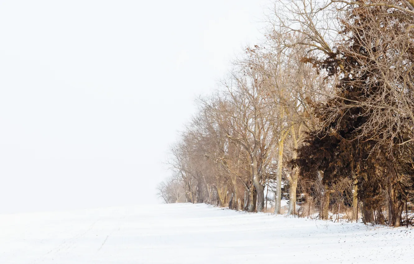 Photo wallpaper winter, snow, fog