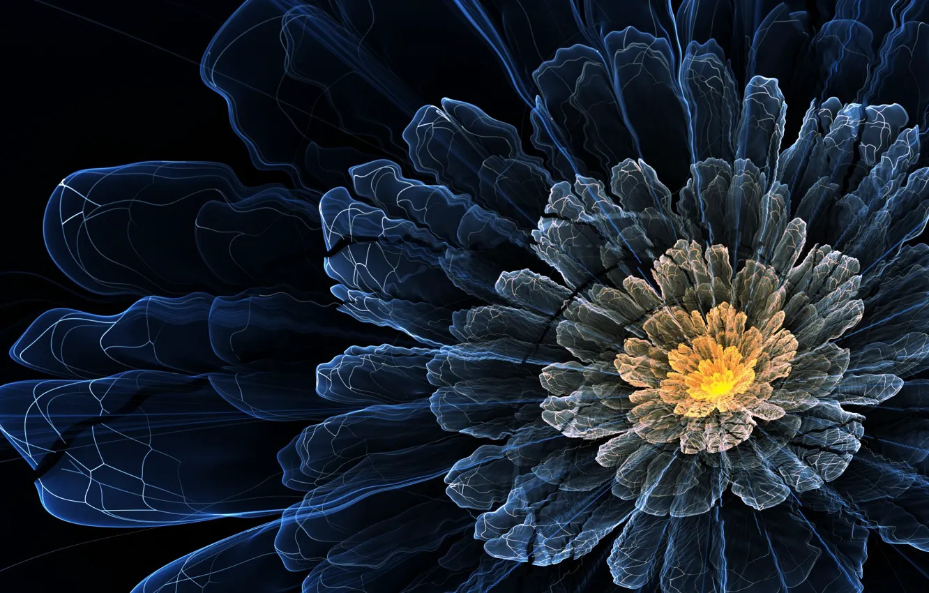 Photo wallpaper line, flowers, dark, petals, art, wavy