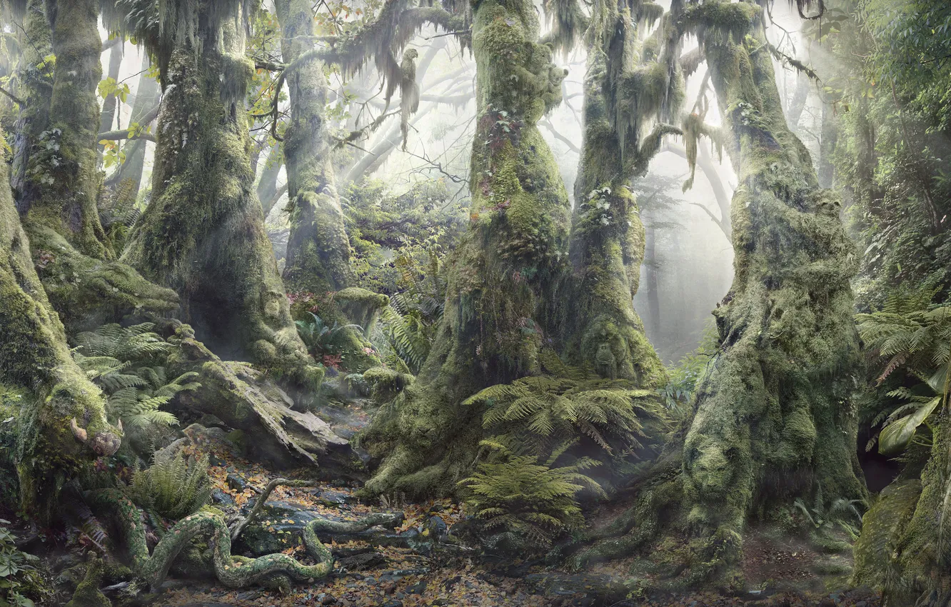 Photo wallpaper forest, security, beast, salvation, WWF