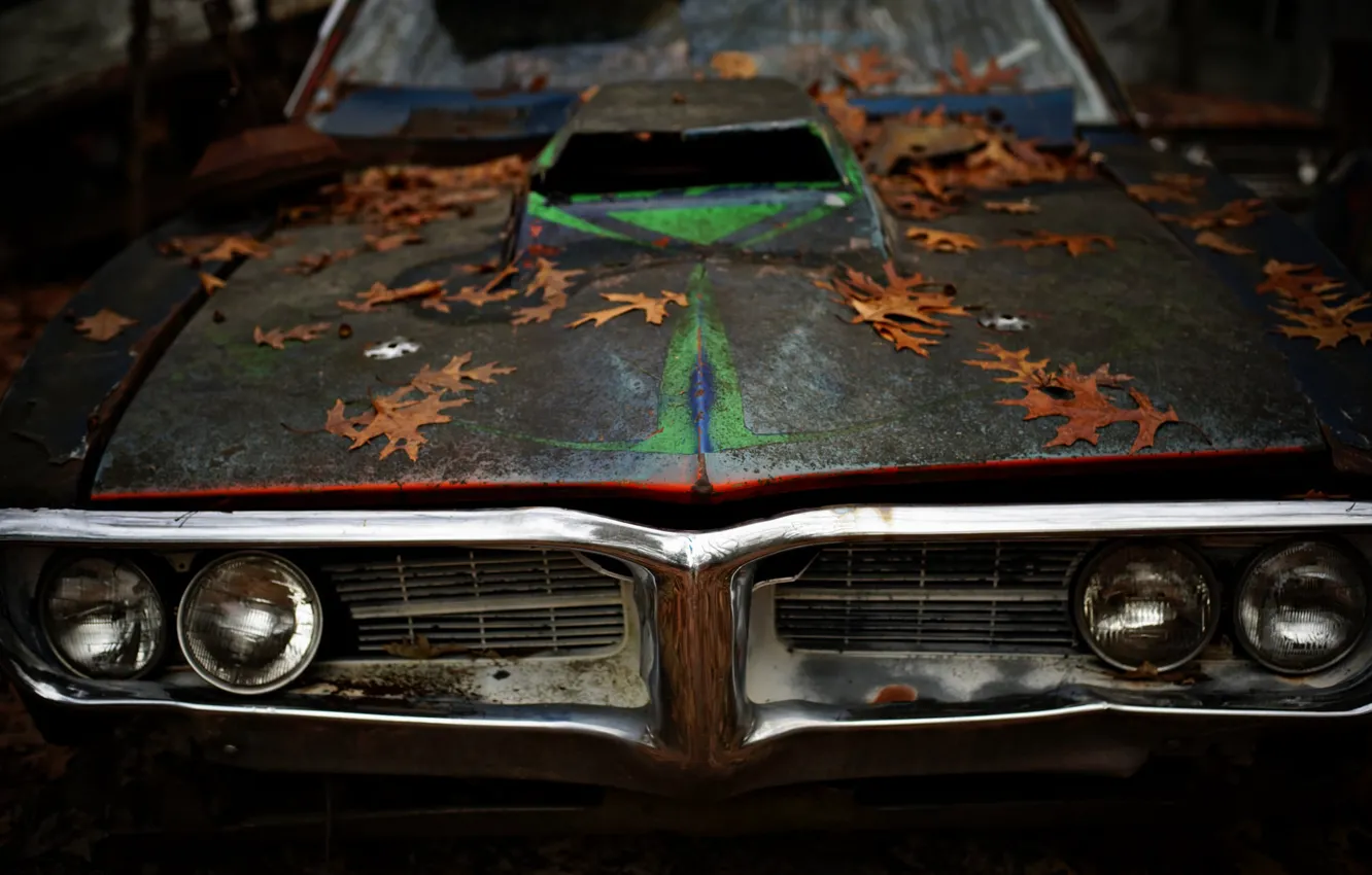 Photo wallpaper leaves, Pontiac, muscle car, Firebird