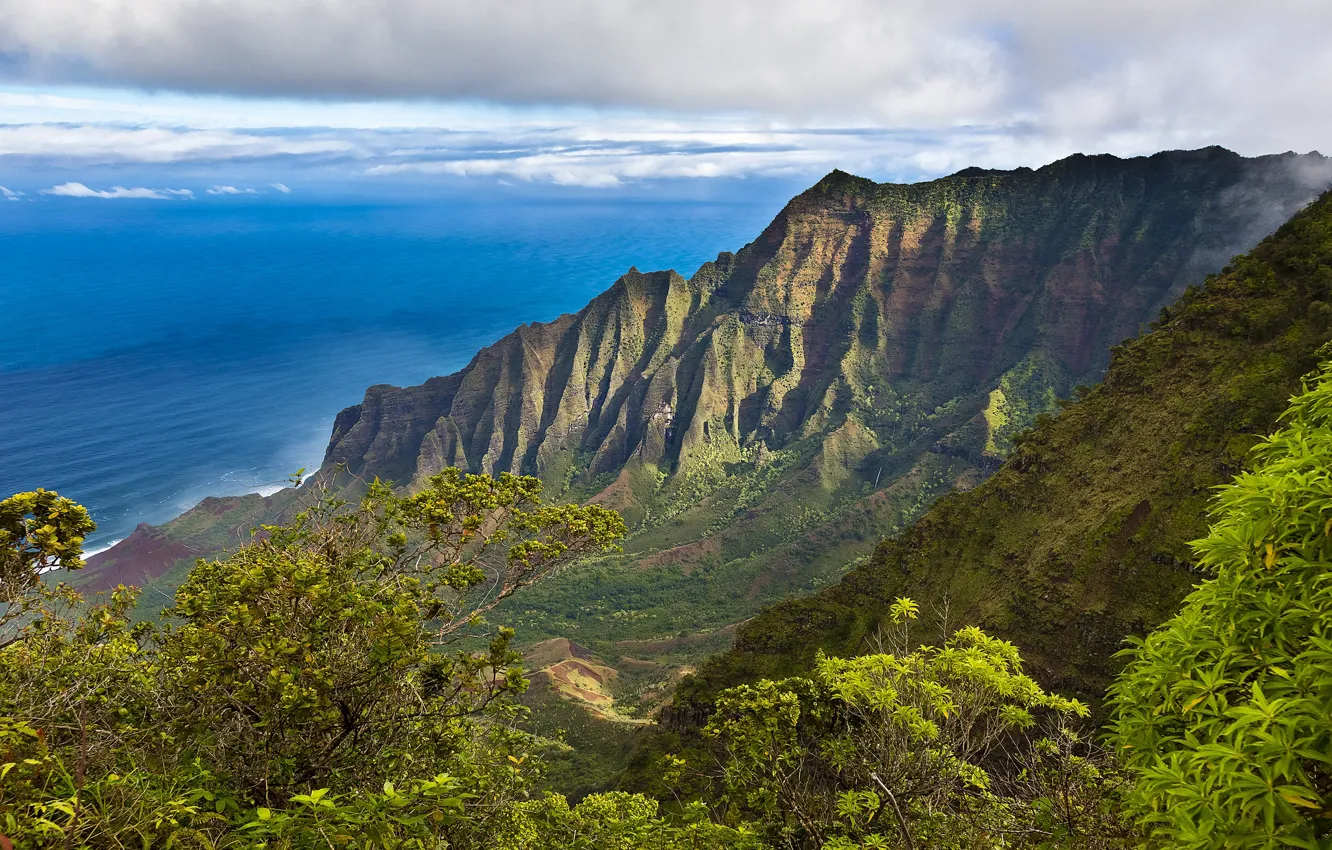 Photo wallpaper sea, rocks, shore