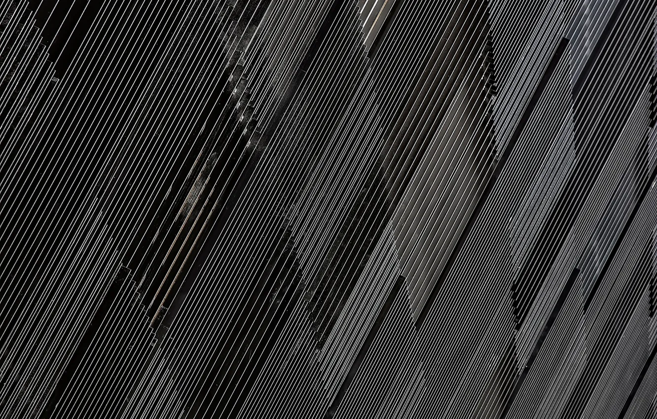 Photo wallpaper line, plate, texture, black and white