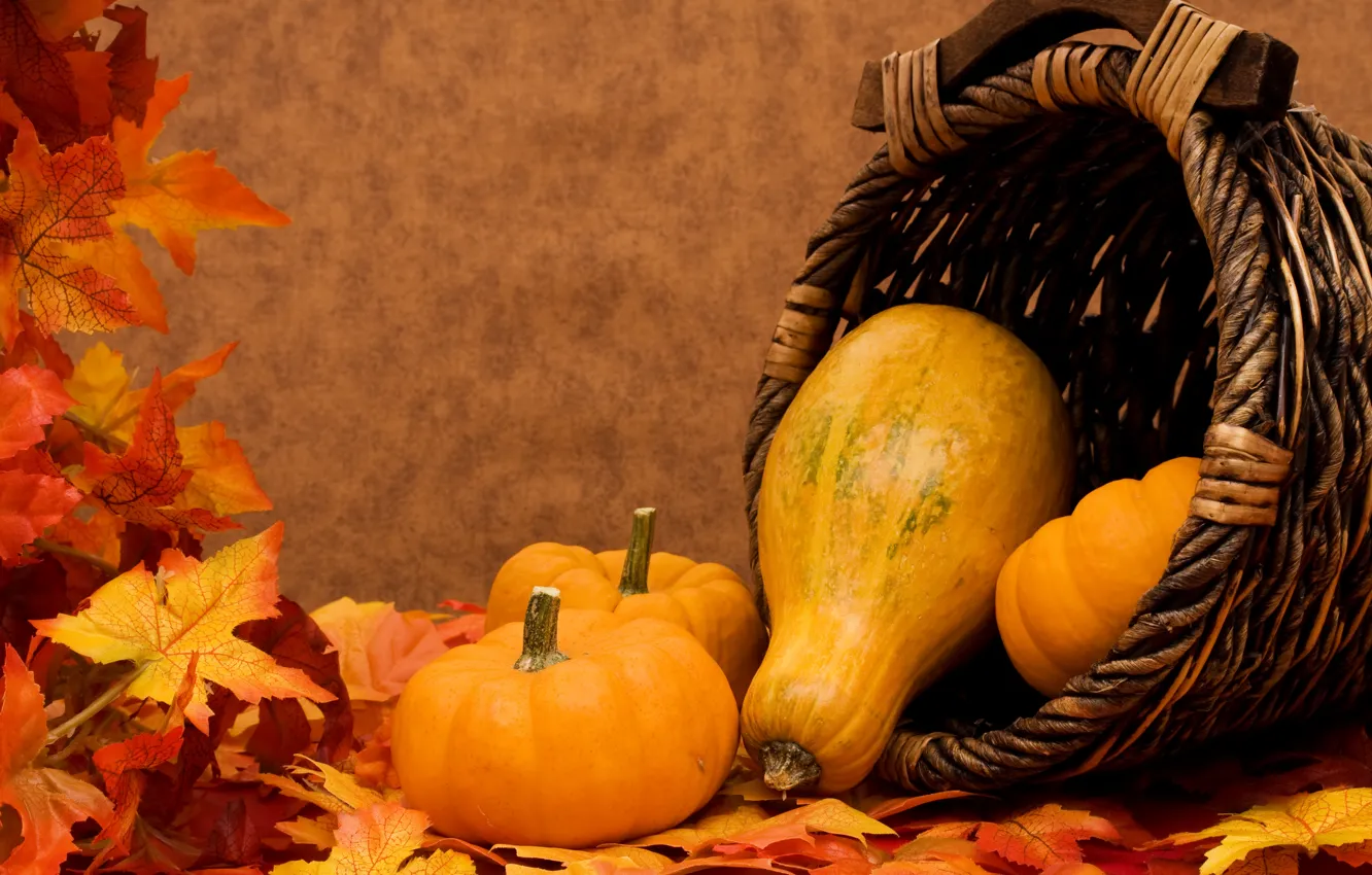 Photo wallpaper autumn, leaves, basket, pumpkin, vegetables