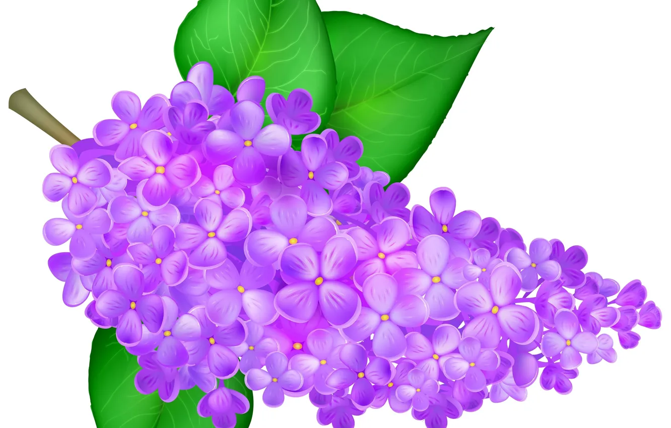 Photo wallpaper leaves, lilac, vector graphics