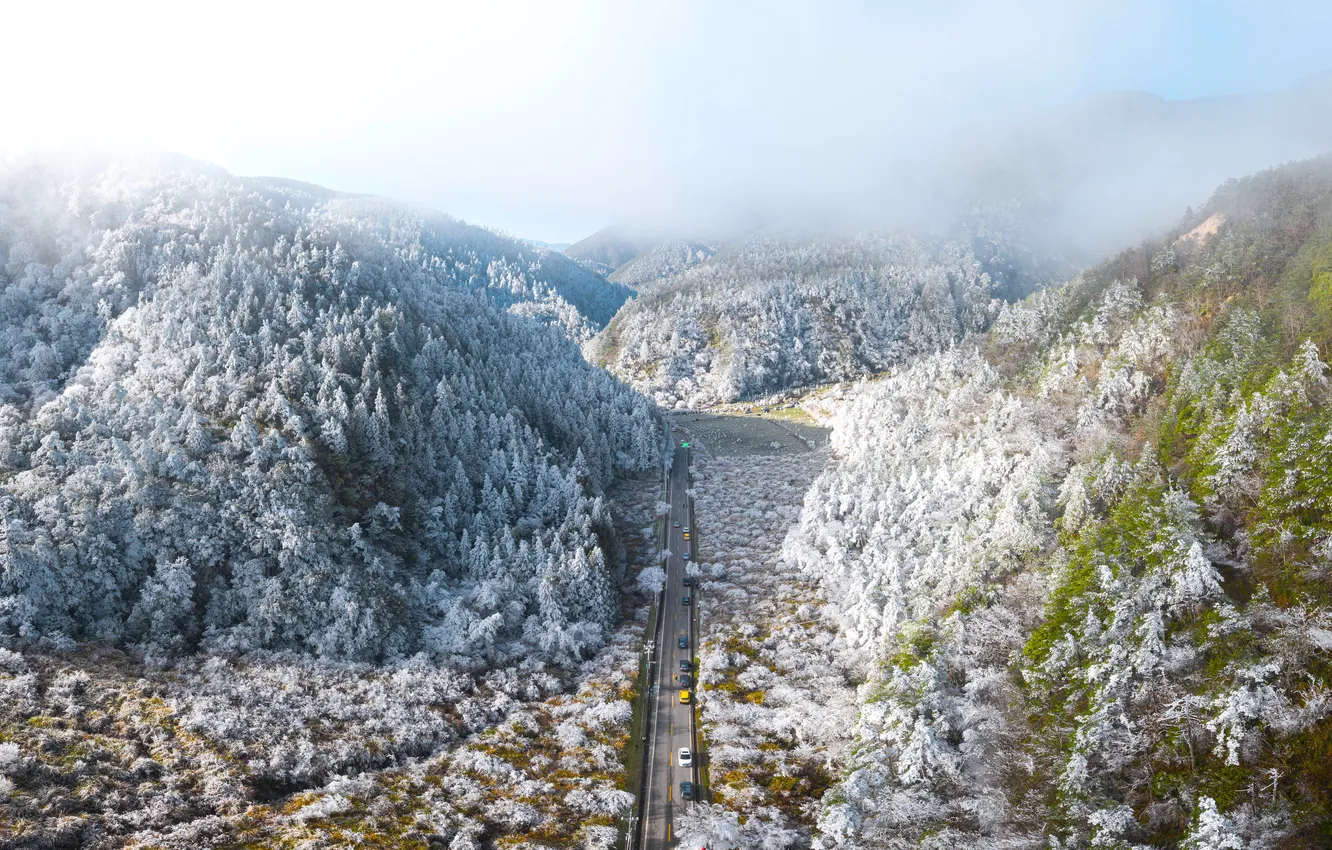 Photo wallpaper forest, road, cars, trees, fog, hills, highway, frost