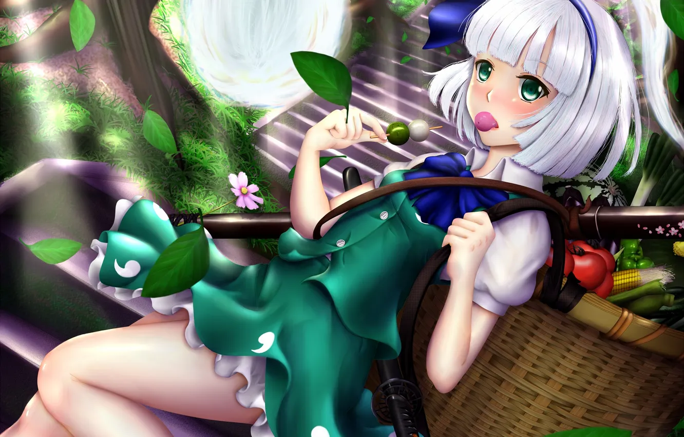 Photo wallpaper look, girl, magic, basket, surprise, touhou, art, Konpaku Youmu