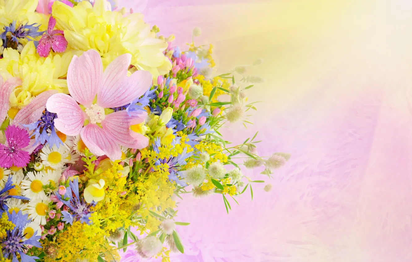 Photo wallpaper summer, flowers, bouquet, daisies, drops