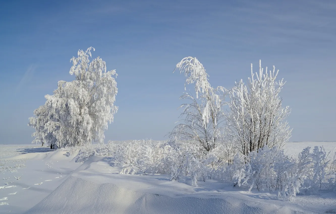 Photo wallpaper winter, snow, landscape