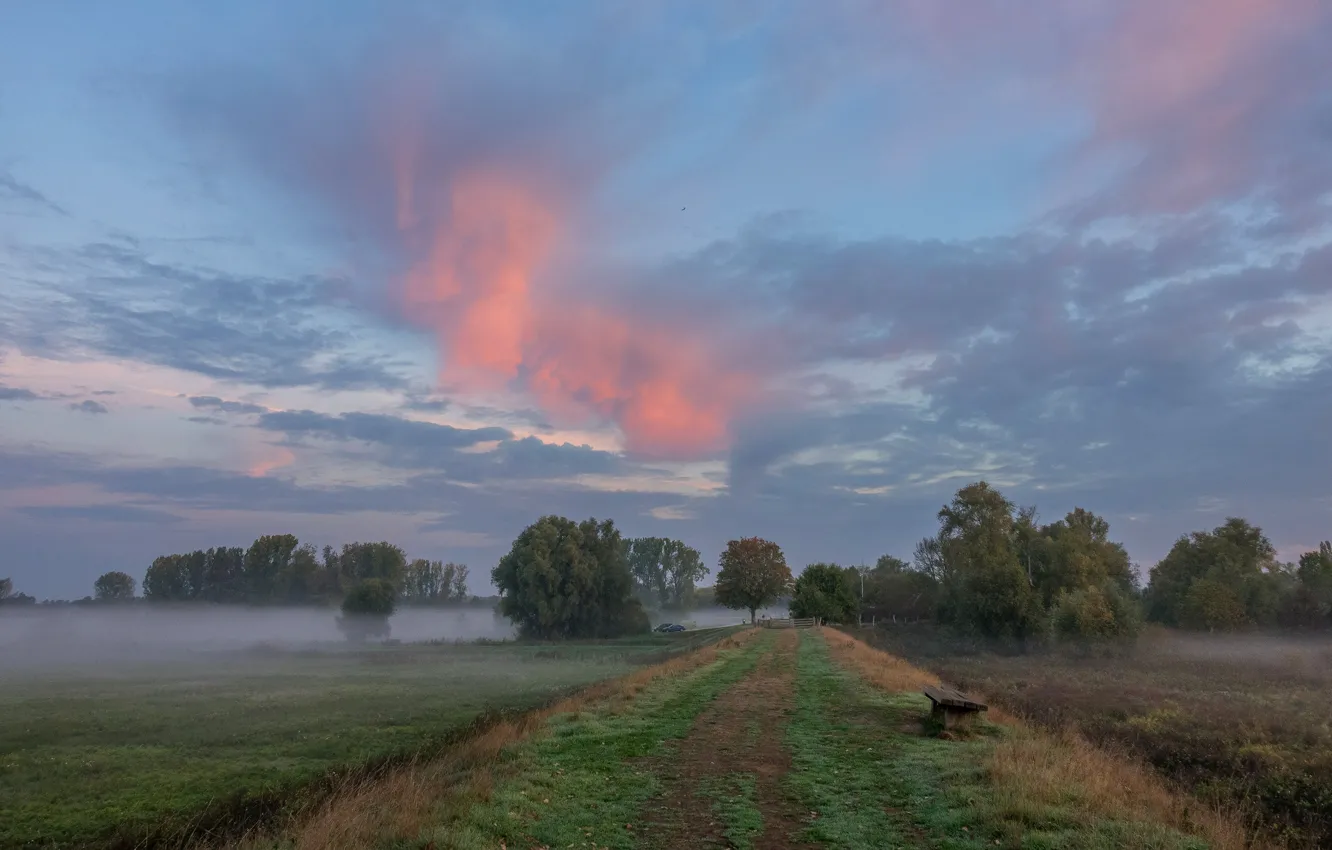 Photo wallpaper road, field, autumn, the sky, grass, clouds, trees, bench