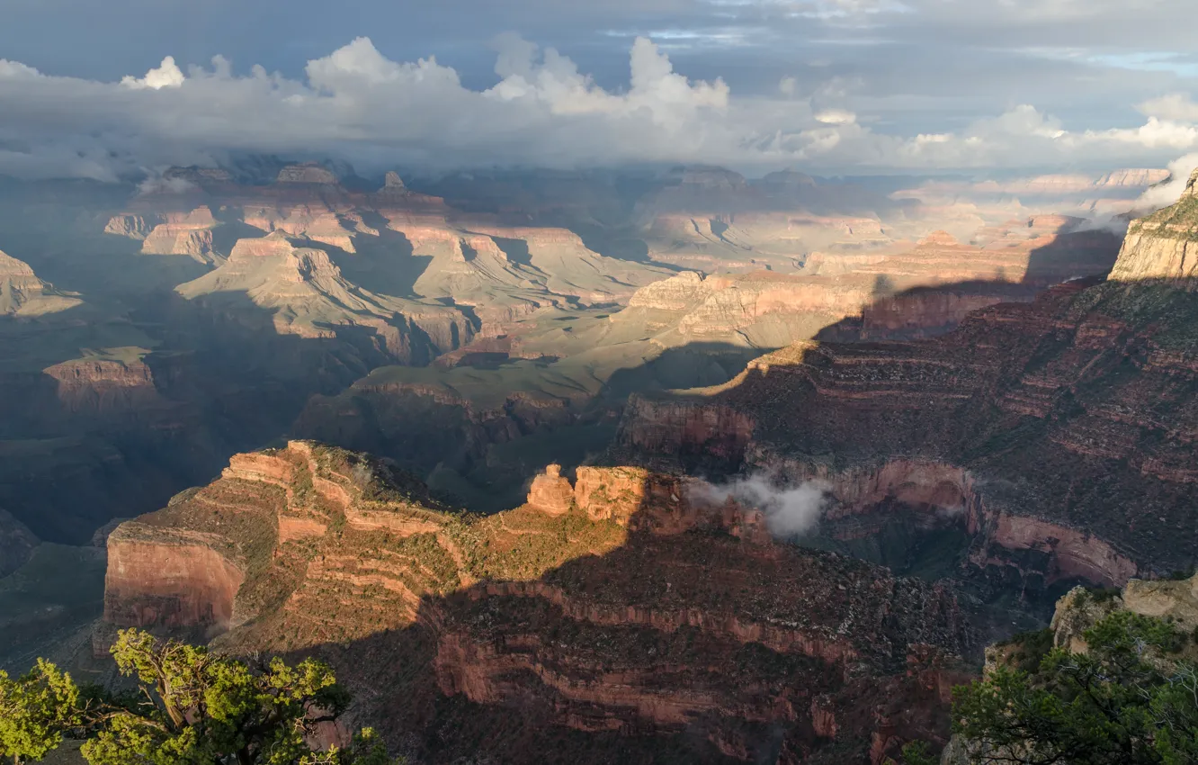 Photo wallpaper Grand canyon, The Grand Canyon, South Rim