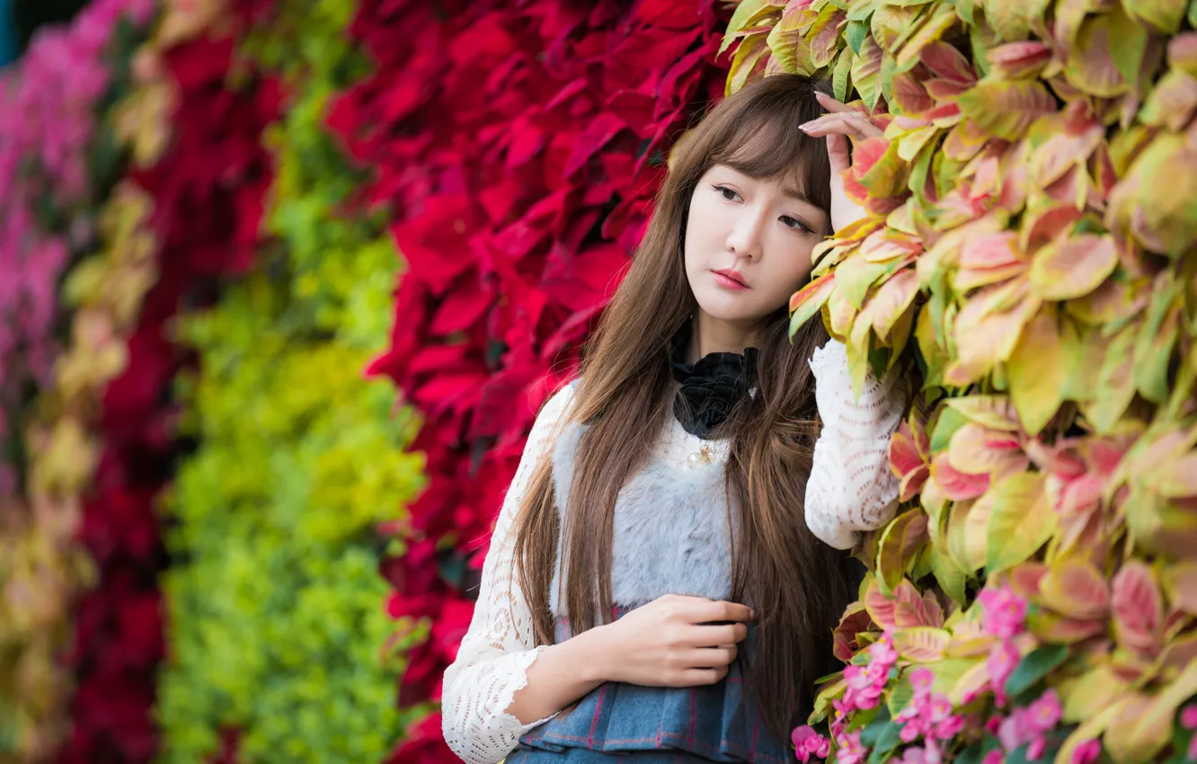 Photo wallpaper leaves, girl, pose, hair, Asian, bokeh