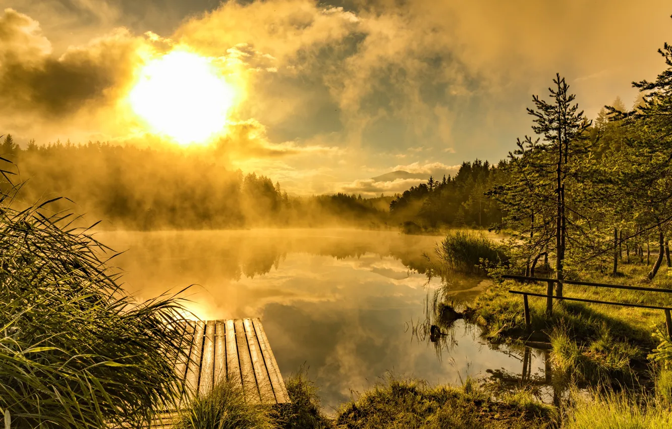 Photo wallpaper fog, lake, morning, pier, the bridge