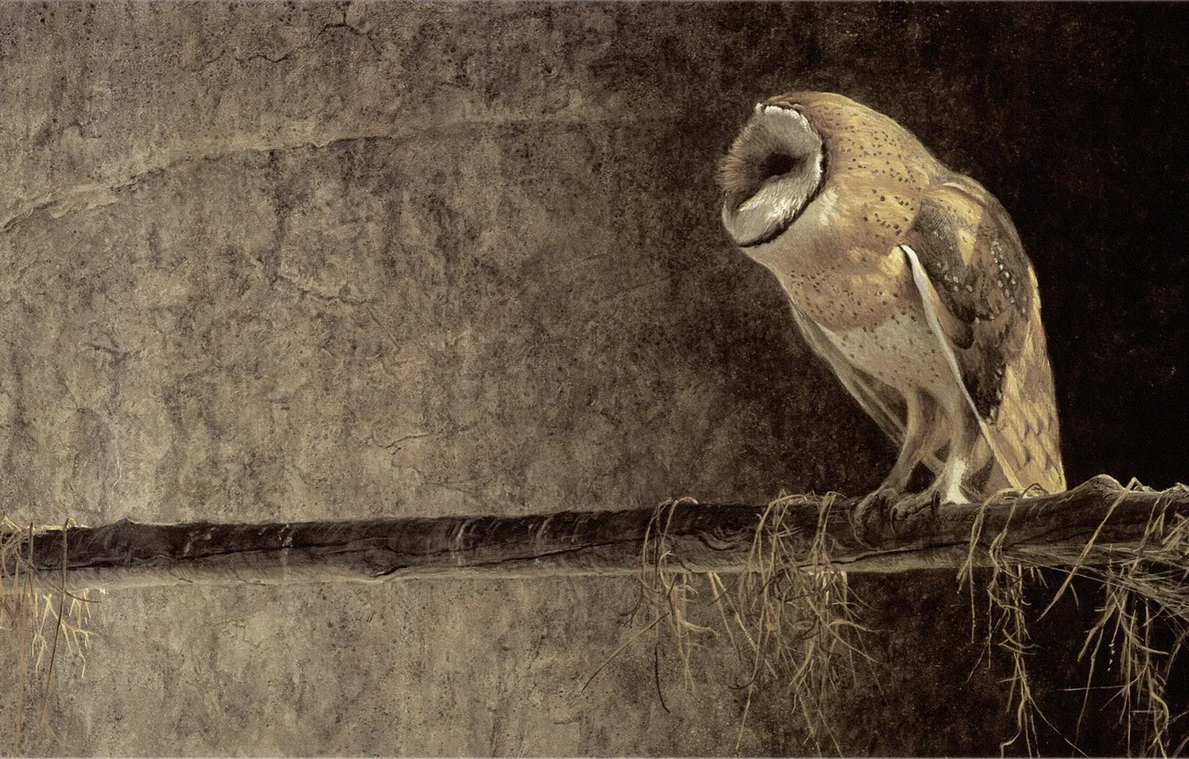 Photo wallpaper owl, painting, Robert Bateman, Robert Batman