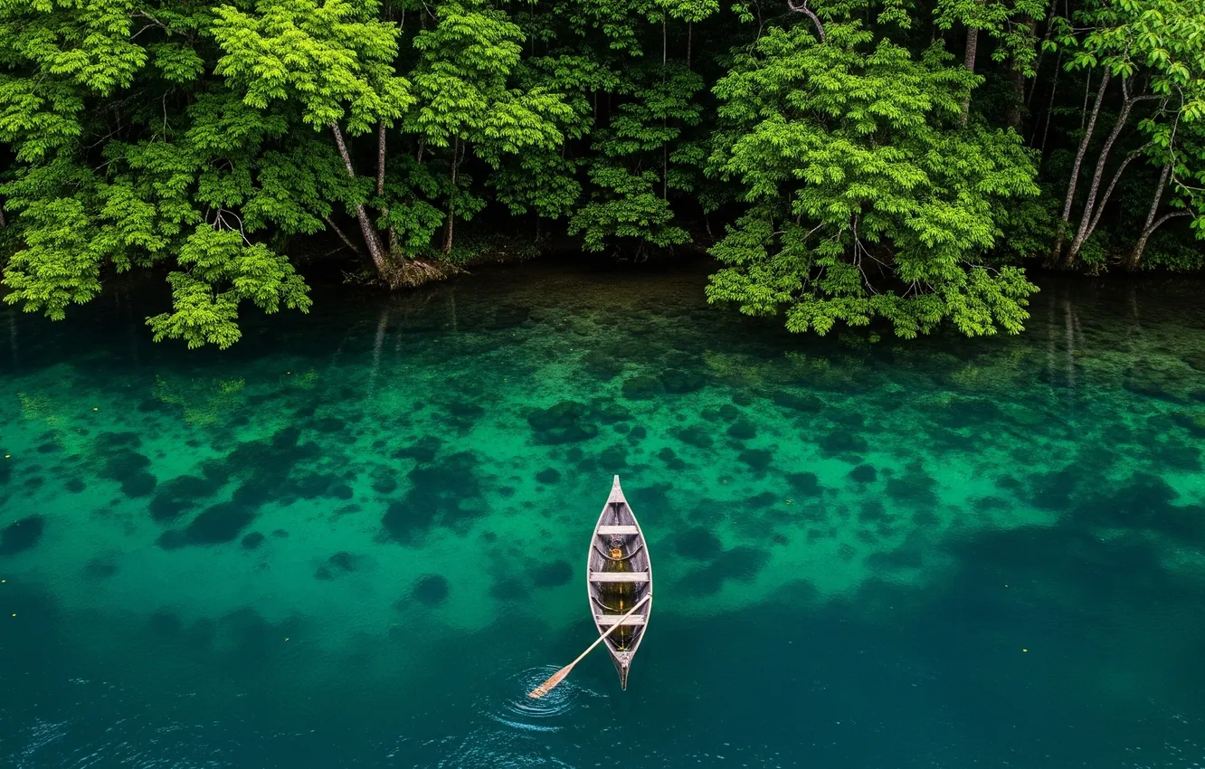 Photo wallpaper forest, water, river, Wallpaper, shore, art, wallpaper, forest