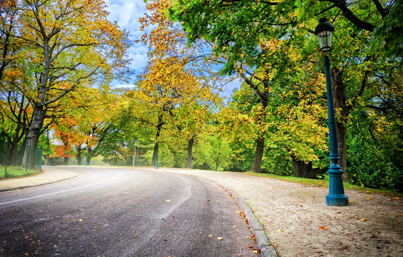 Photo wallpaper road, autumn, forest, leaves, trees, Park, colorful, forest