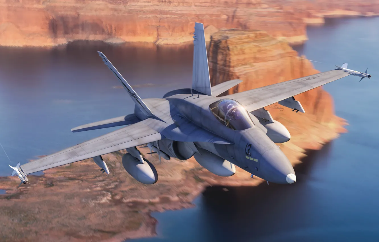 Photo wallpaper USA, fighter-bomber, deck-based aircraft, F/A-18 Hornet, combat aircraft