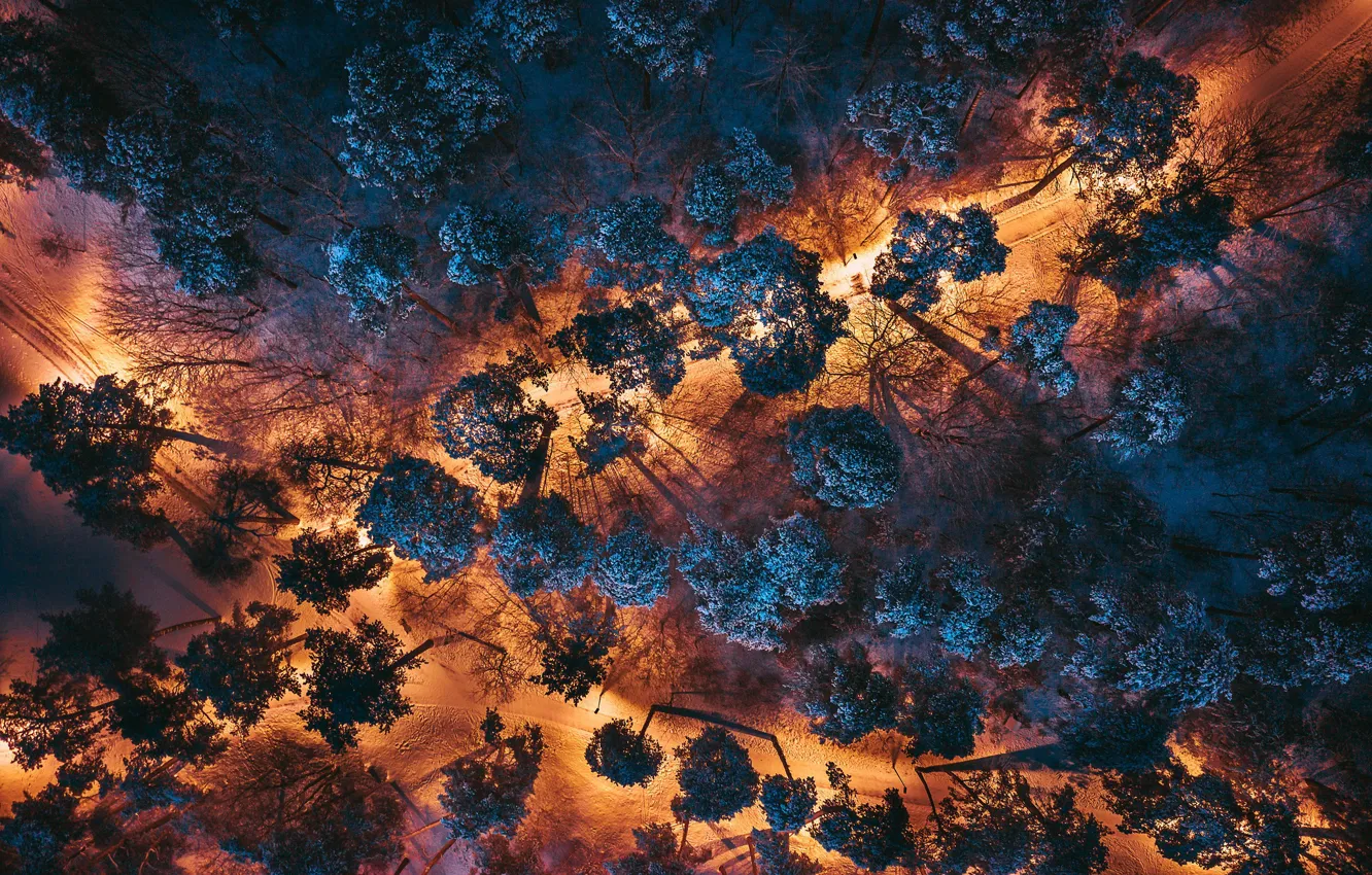 Photo wallpaper night, the city, Park