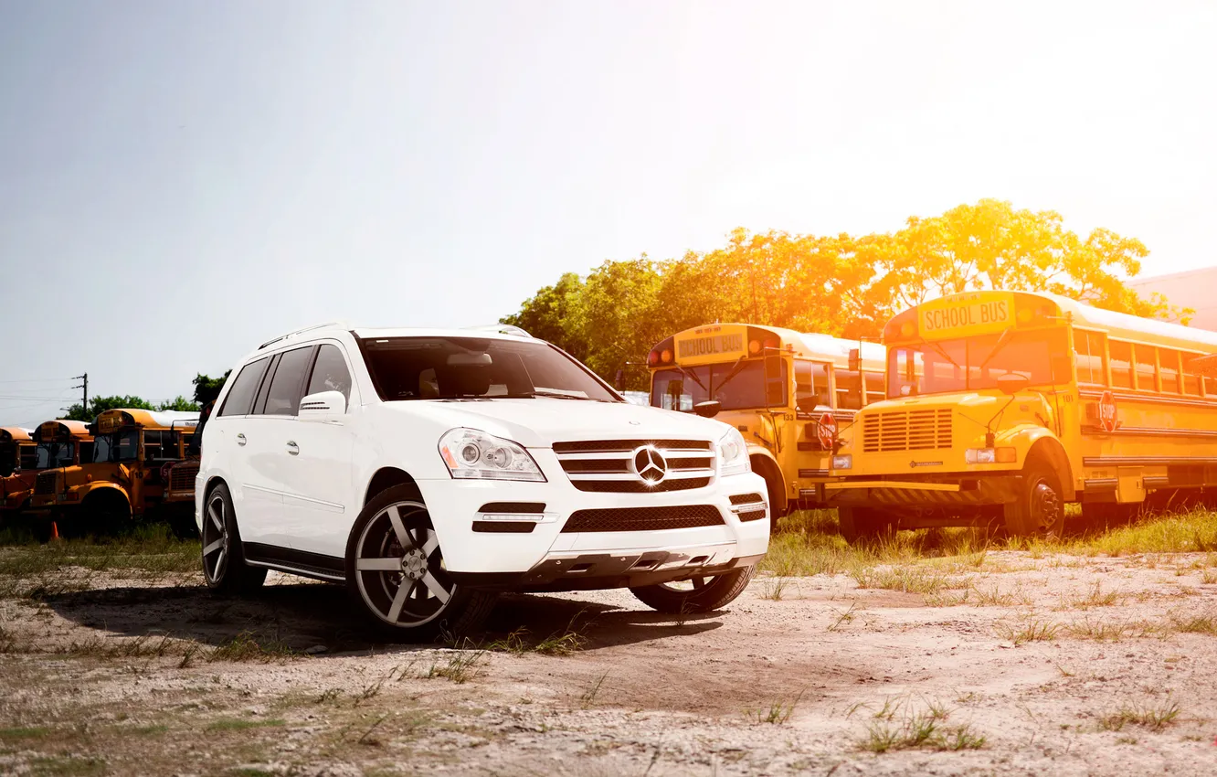 Photo wallpaper white, grass, the sun, trees, bus, Mercedes, bus, benz gl
