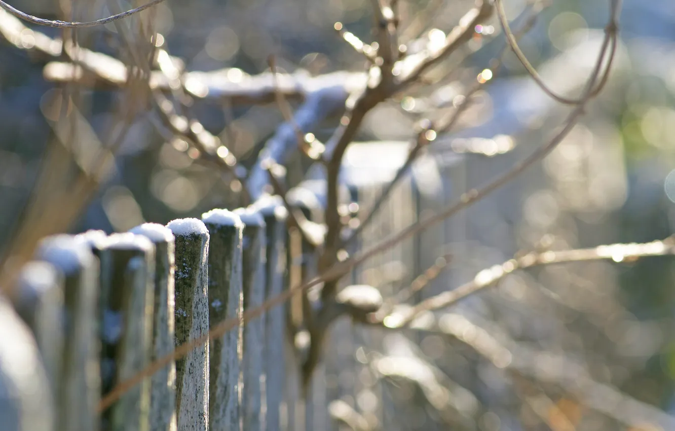 Photo wallpaper winter, snow, the fence