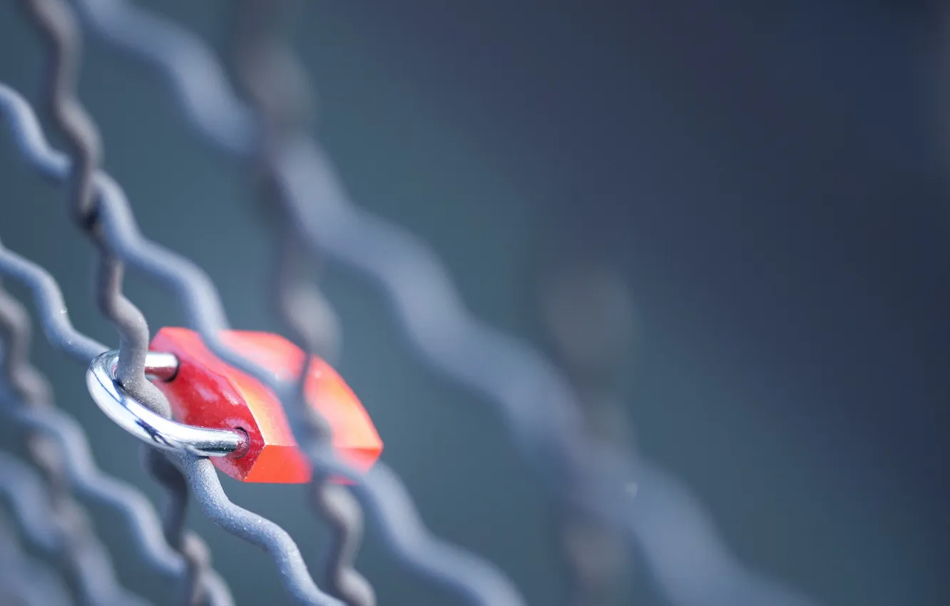 Photo wallpaper macro, castle, the fence