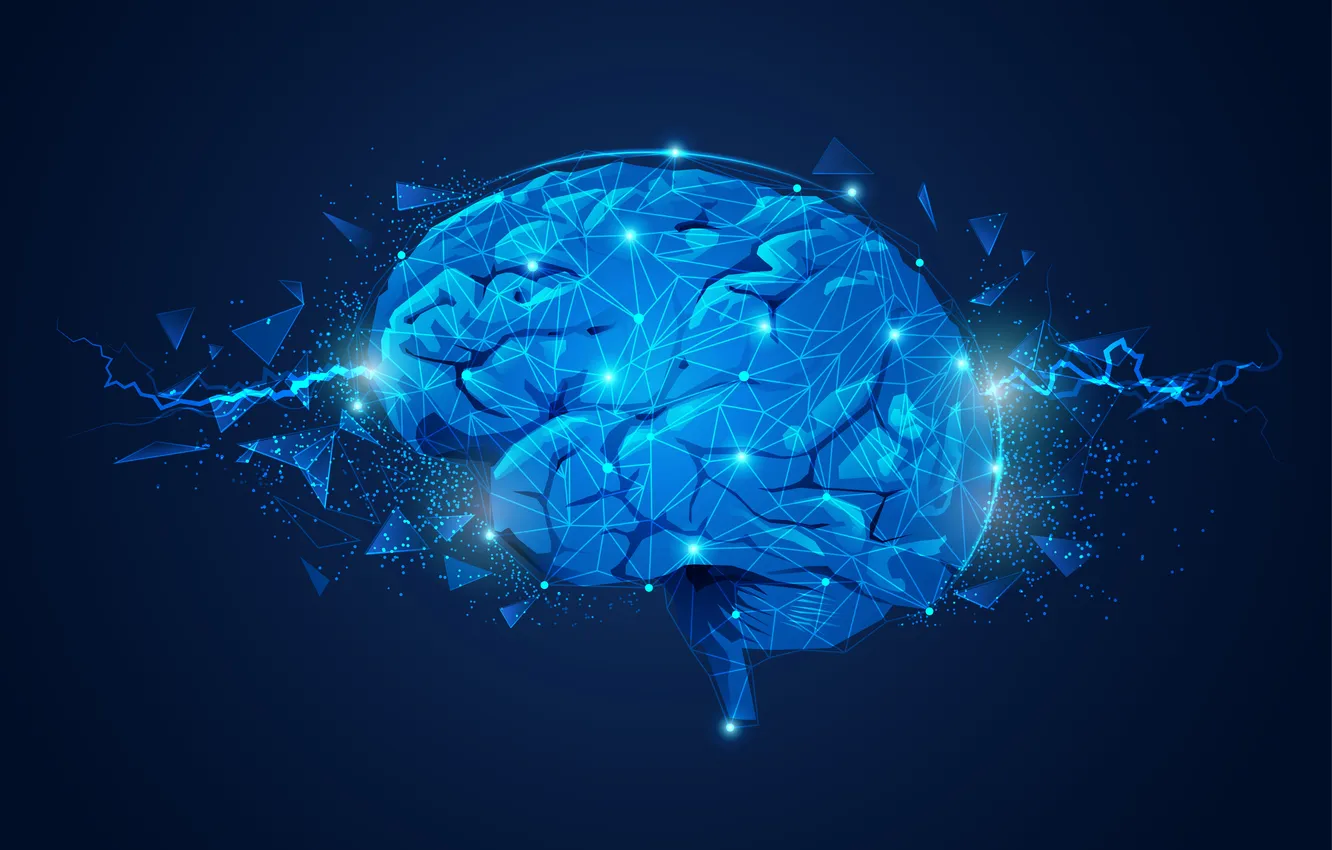 Photo wallpaper blue, human, brain