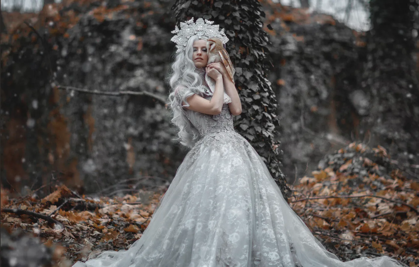 Photo wallpaper autumn, forest, girl, nature, style, owl, bird, crown