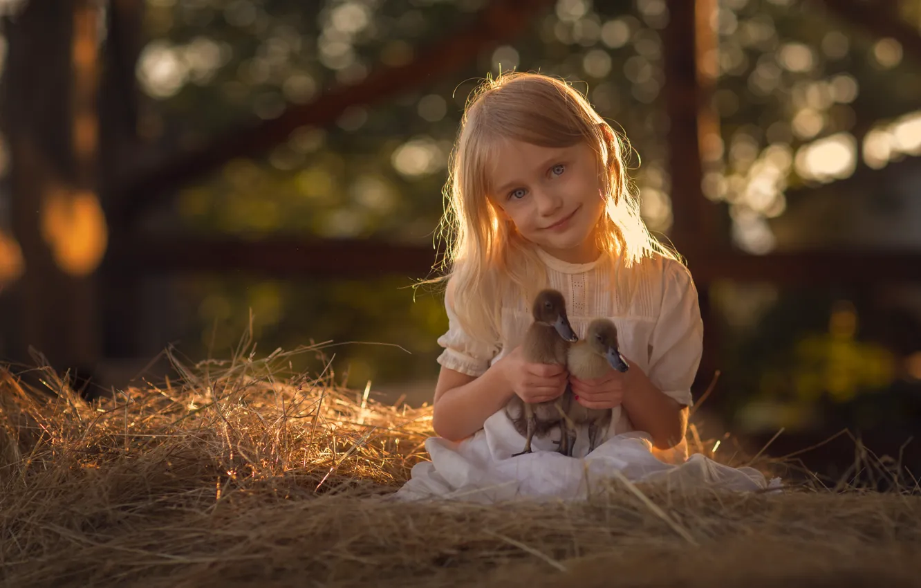 Photo wallpaper light, blonde, hay, girl, straw, duck, Chicks, the goslings