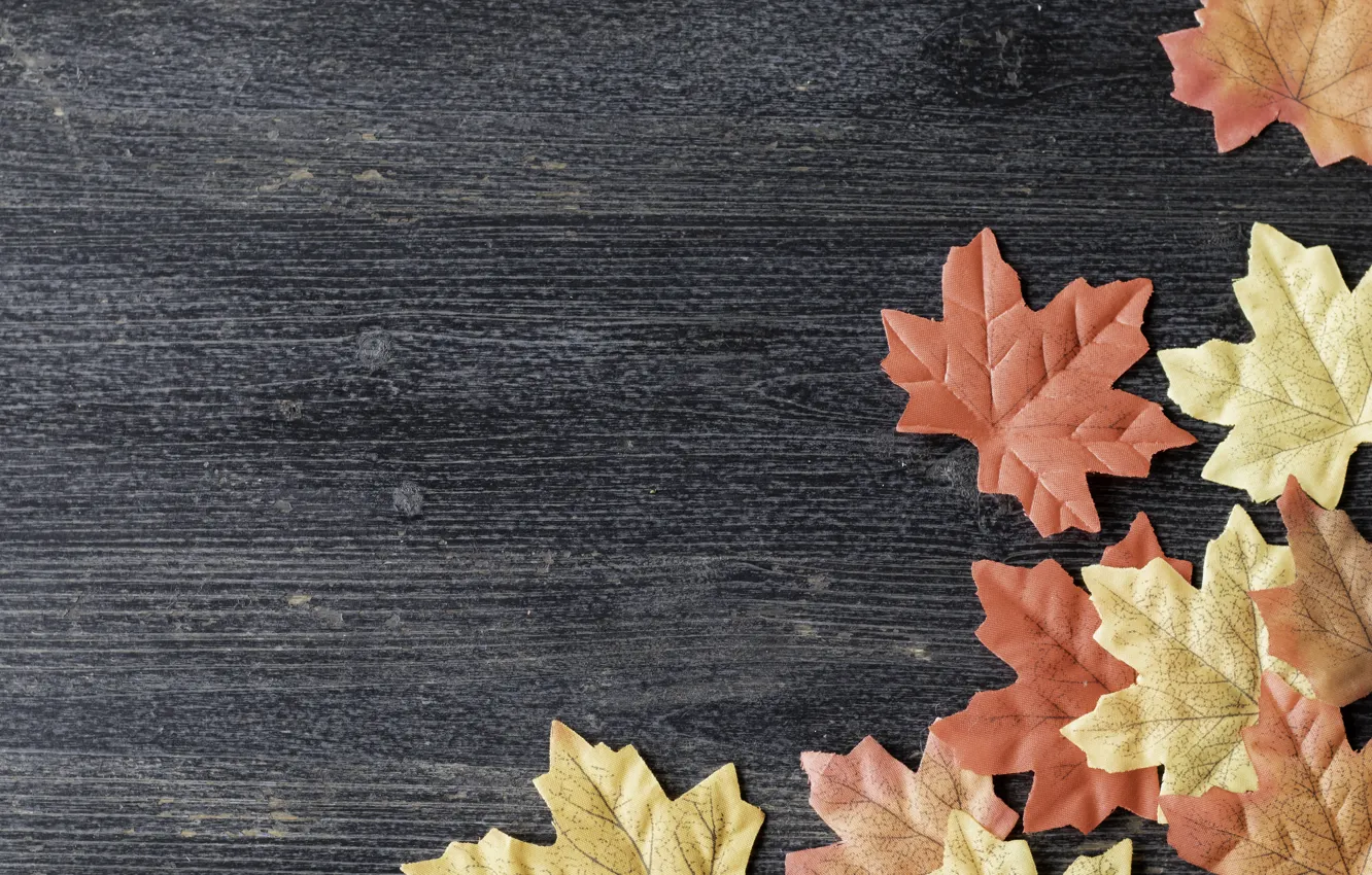 Photo wallpaper autumn, leaves, background, colorful, wood, background, autumn, leaves