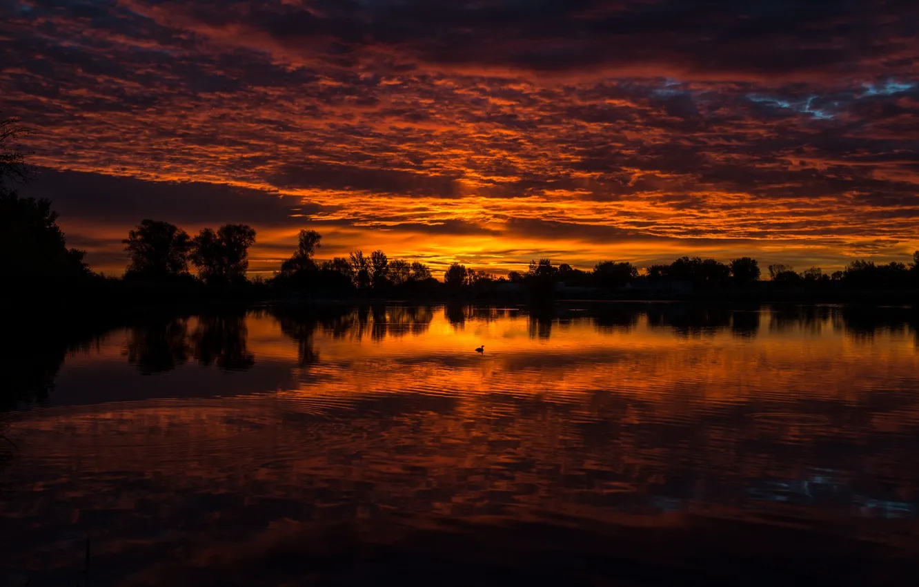 Photo wallpaper the sky, landscape, sunset