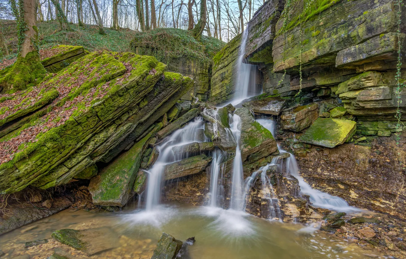 Photo wallpaper trees, rocks, waterfall, moss