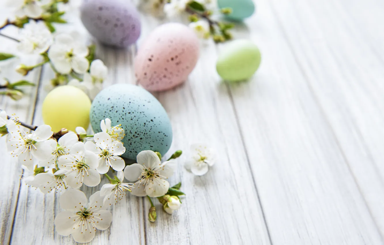 Photo wallpaper flowers, eggs, spring, colorful, Easter, flowers, spring, Easter