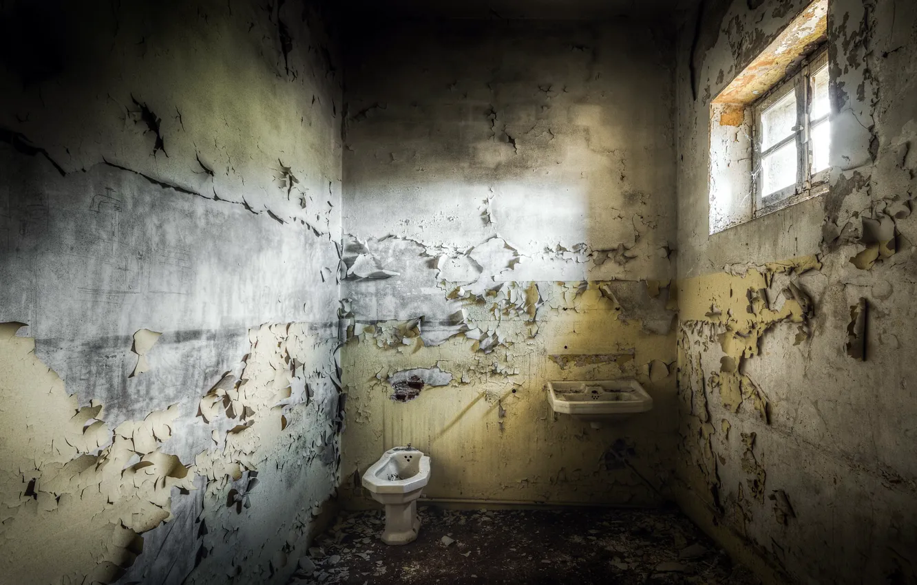 Photo wallpaper wall, window, toilet