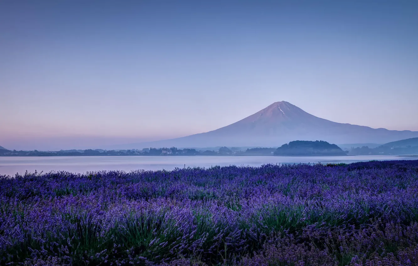 Photo wallpaper field, flowers, mountains, nature, lake, morning, the volcano, Japan