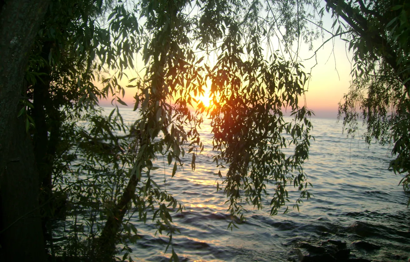 Photo wallpaper water, trees, sunset, stay