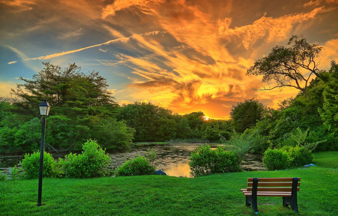 Photo wallpaper clouds, trees, landscape, sunset, bench, pond, Park, lantern