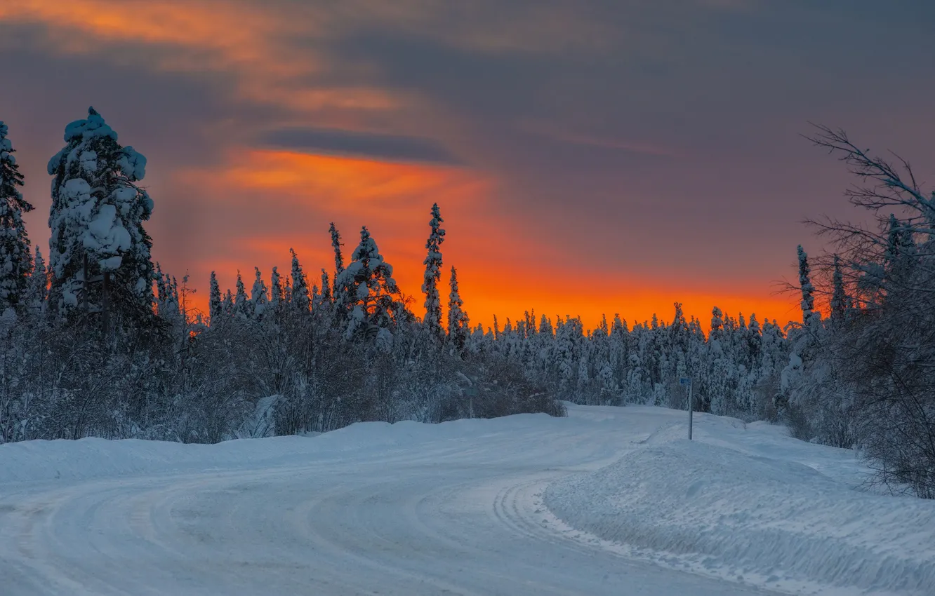 Photo wallpaper winter, road, snow, trees, sunset
