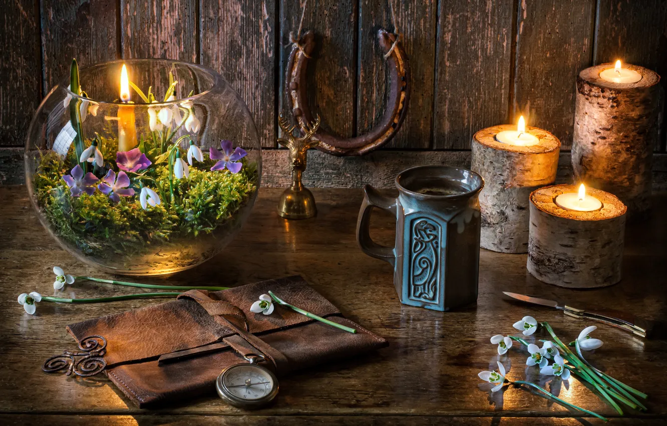 Photo wallpaper flowers, style, aquarium, candles, snowdrops, mug, still life, compass