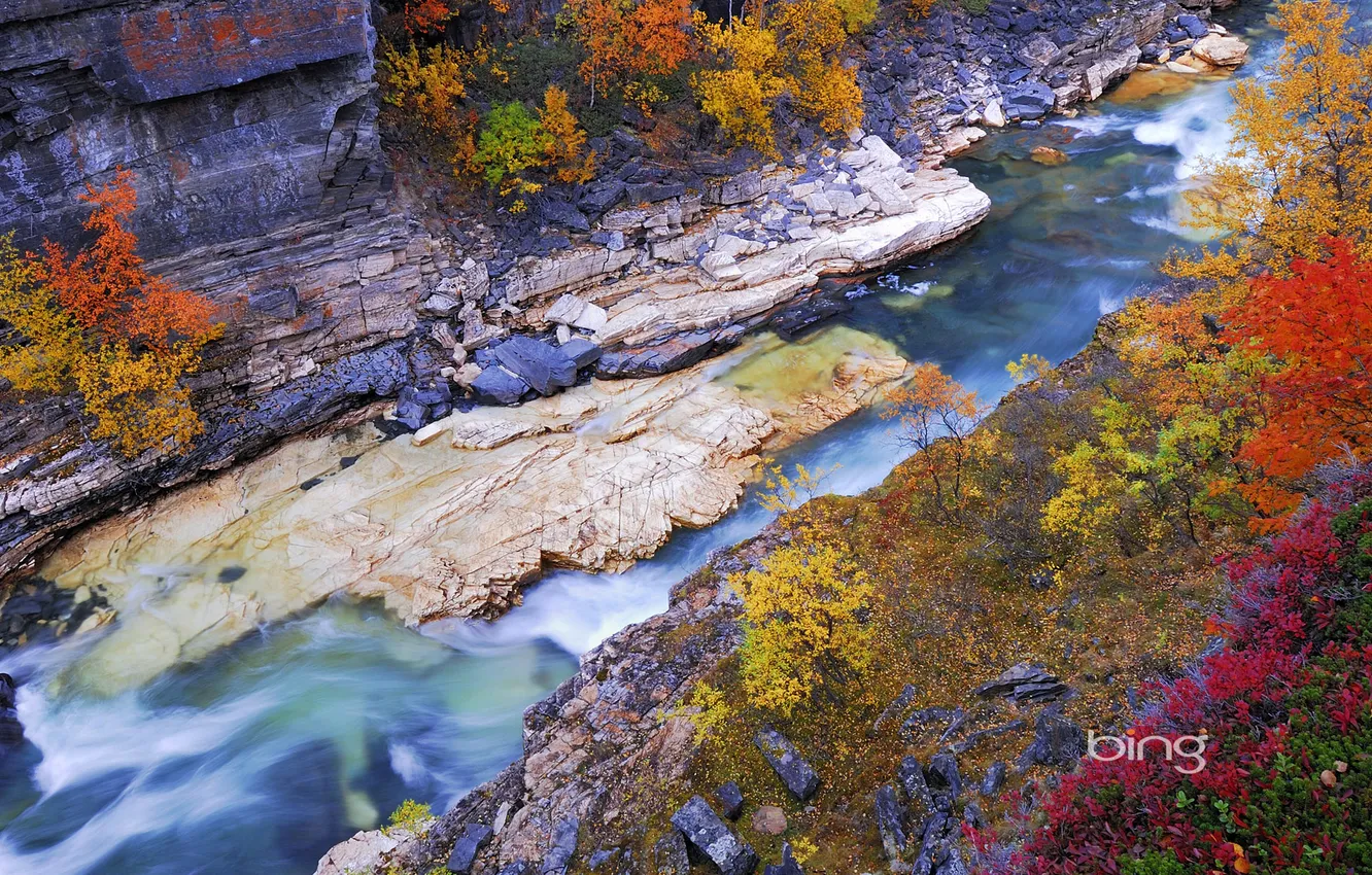Photo wallpaper autumn, leaves, river, rocks, Sweden, Sweden, tree, Lapland