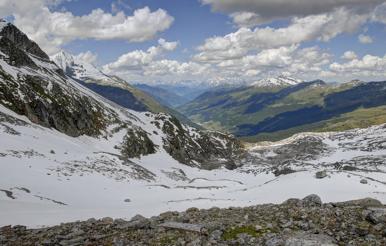 Photo wallpaper forest, clouds, snow, mountains
