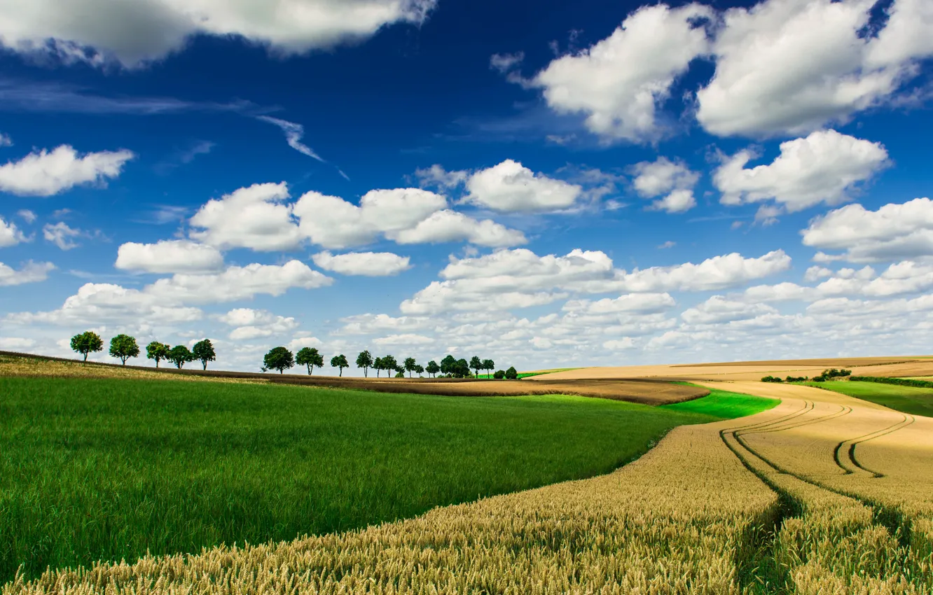 Photo wallpaper field, the sky, clouds, trees, horizon, farm