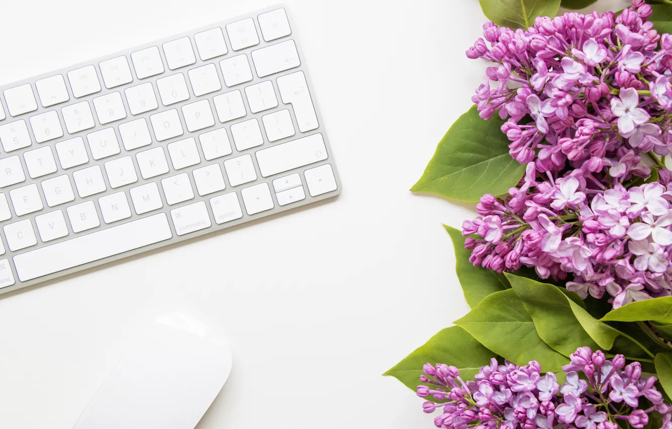 Photo wallpaper flowers, mouse, keyboard, lilac