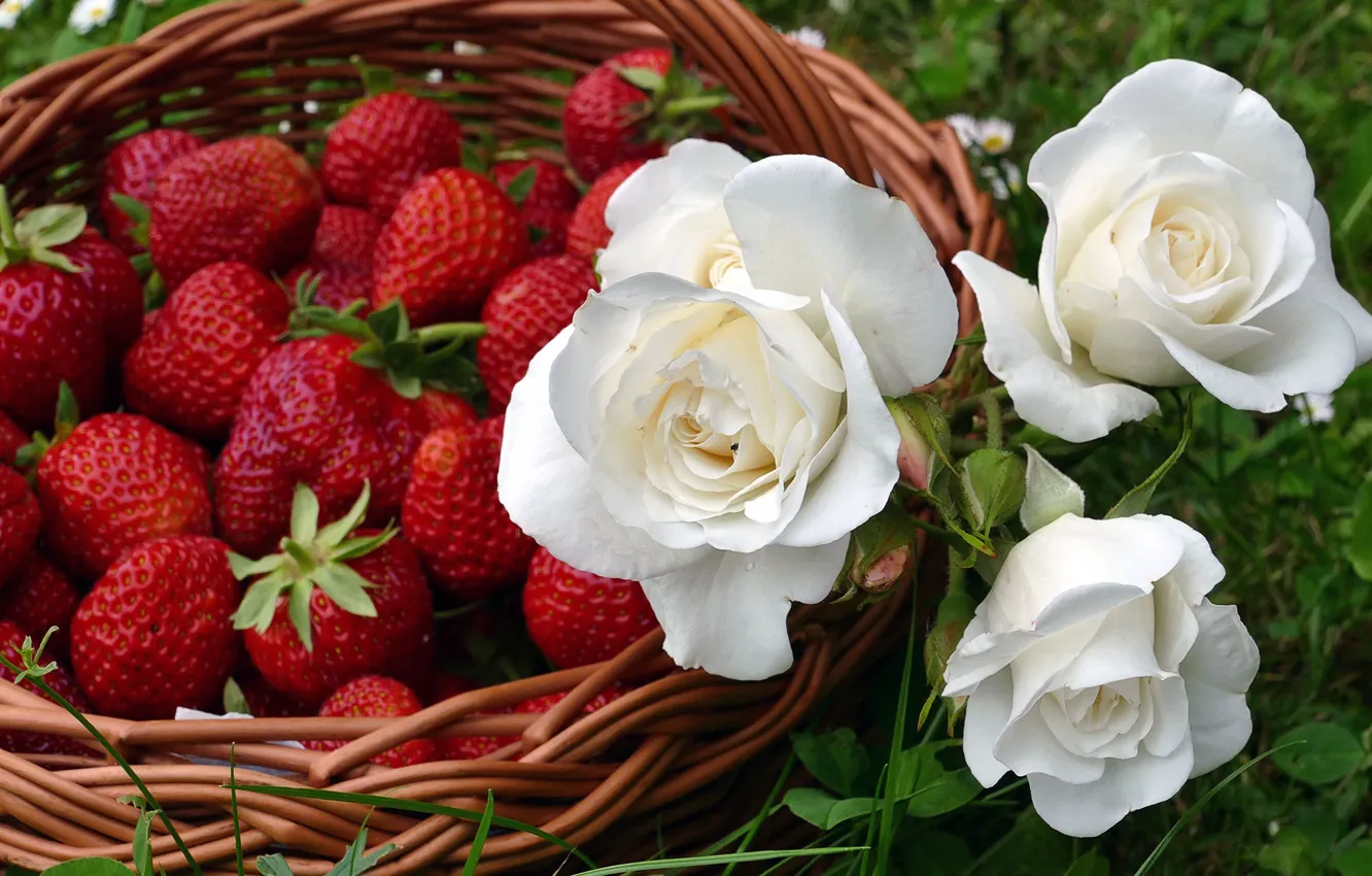 Photo wallpaper greens, summer, grass, flowers, nature, berries, food, roses