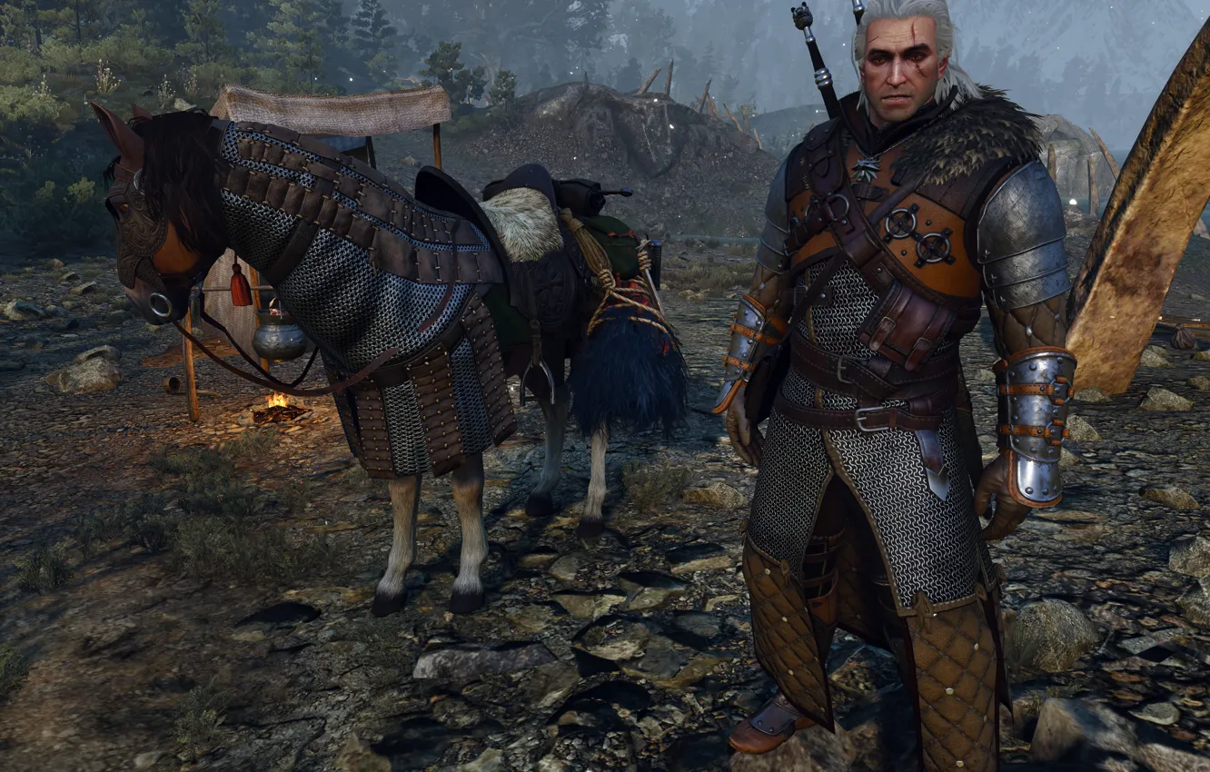 Photo wallpaper The Witcher 3, Roach, ., armor of the bear