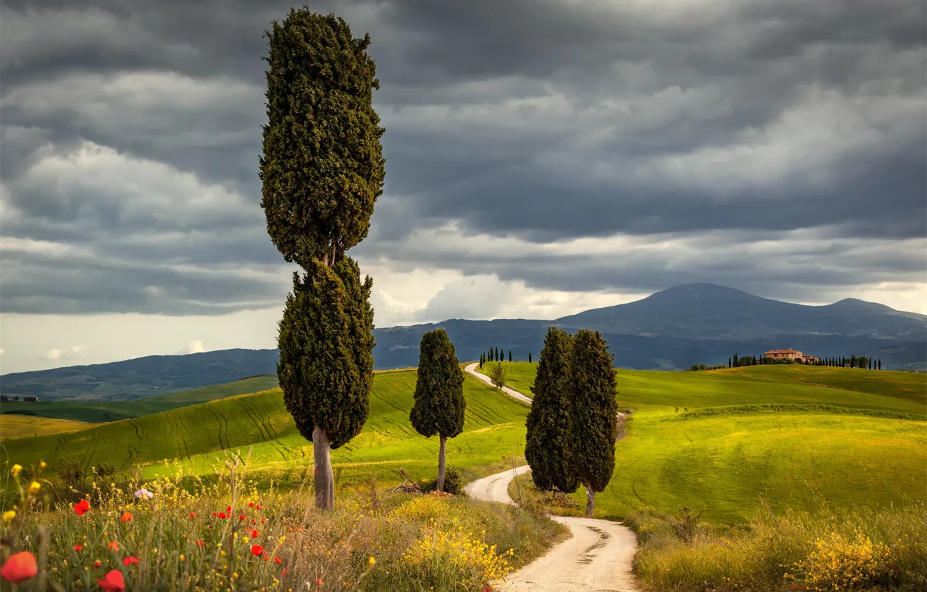 Photo wallpaper road, field, trees, landscape, mountains, clouds, nature, Italy
