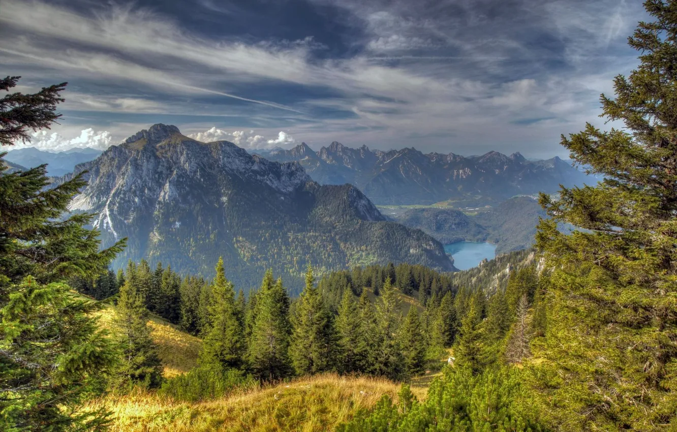 Photo wallpaper forest, trees, mountains, lake, ate, The Bavarian Alps