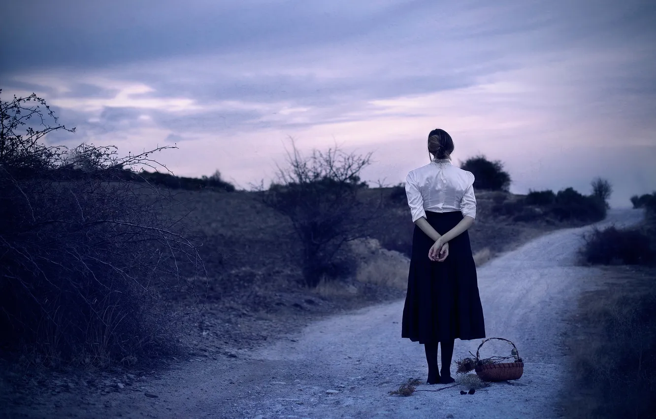 Photo wallpaper road, girl, basket
