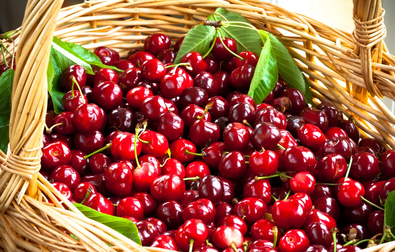Photo wallpaper basket, fruit, cherry, fruit, basket, cherries