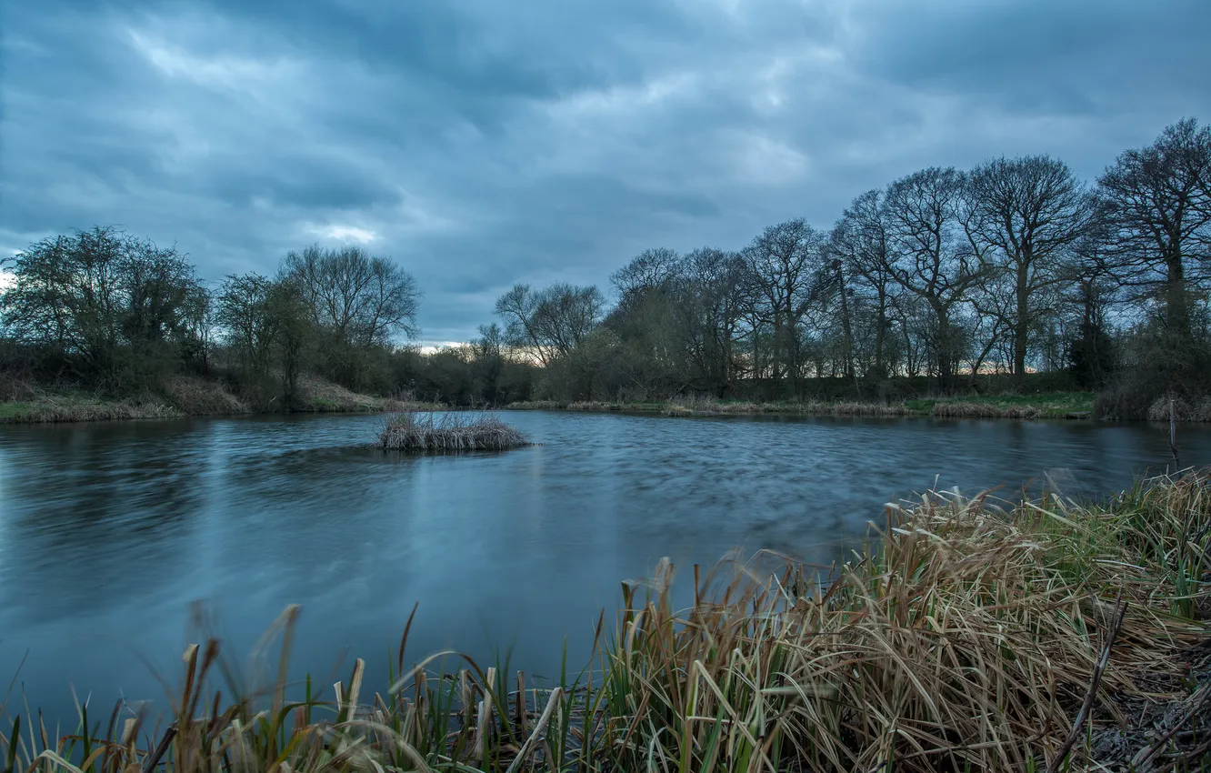 Photo wallpaper grass, trees, clouds, lake