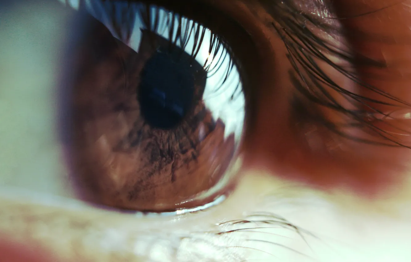 Photo wallpaper eyes, eyelashes, the pupil