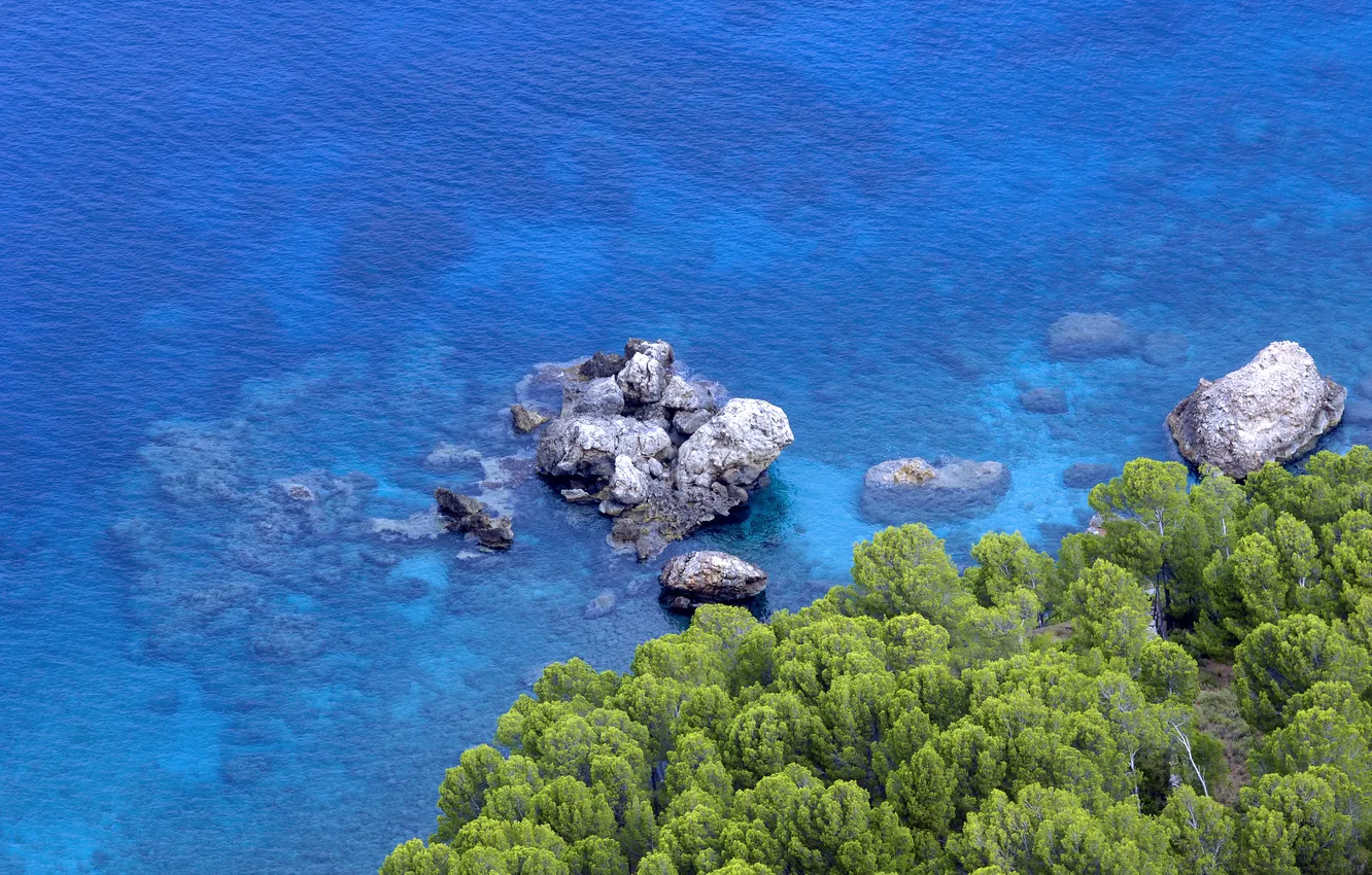 Photo wallpaper sea, forest, water, landscape, stones